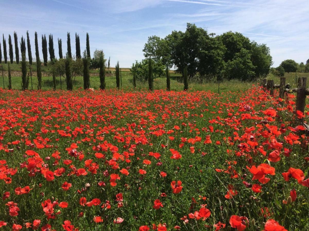 La Casa Del Fattore Monteriggioni Zewnętrze zdjęcie